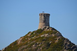 Îles Sanguinaires2